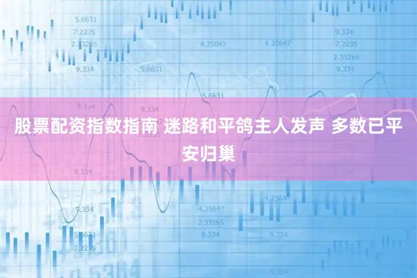 股票配资指数指南 迷路和平鸽主人发声 多数已平安归巢