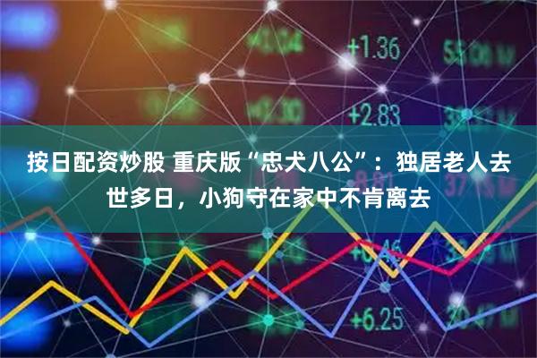 按日配资炒股 重庆版“忠犬八公”：独居老人去世多日，小狗守在家中不肯离去