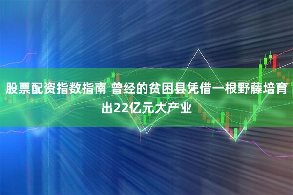 股票配资指数指南 曾经的贫困县凭借一根野藤培育出22亿元大产业
