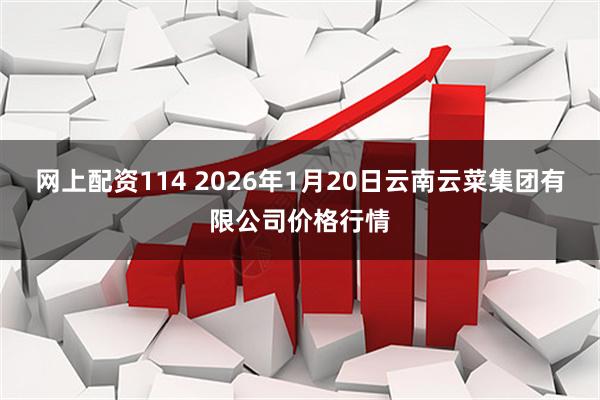 网上配资114 2026年1月20日云南云菜集团有限公司价格行情