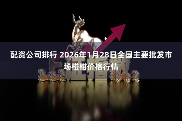 配资公司排行 2026年1月28日全国主要批发市场椪柑价格行情