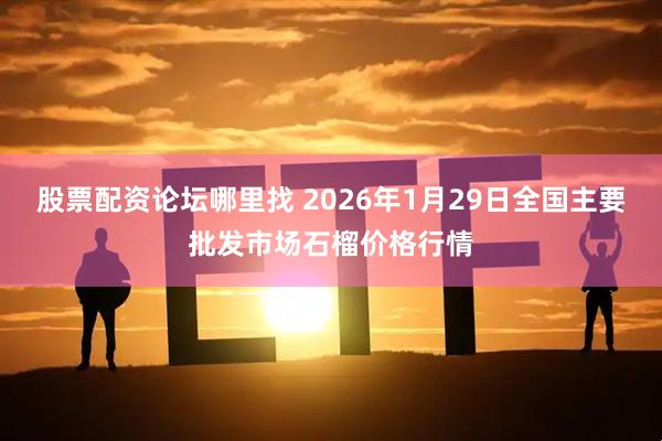 股票配资论坛哪里找 2026年1月29日全国主要批发市场石榴价格行情