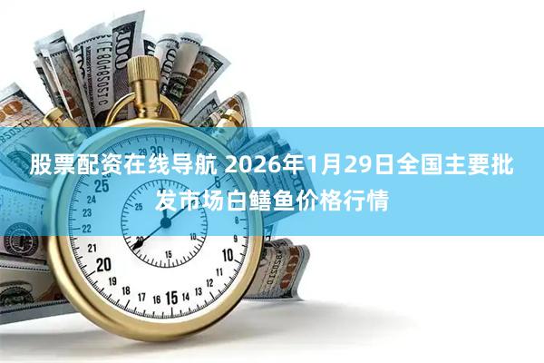 股票配资在线导航 2026年1月29日全国主要批发市场白鳝鱼价格行情