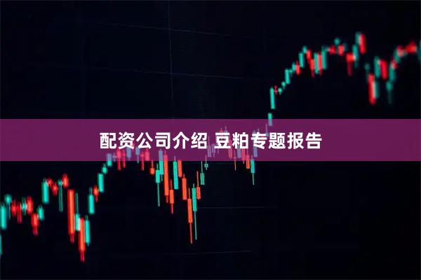 配资公司介绍 豆粕专题报告