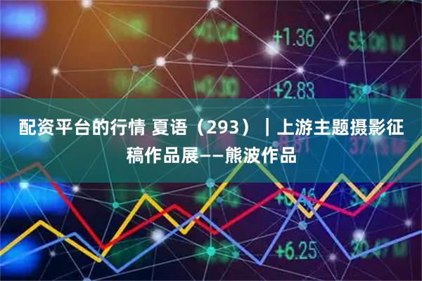配资平台的行情 夏语（293）｜上游主题摄影征稿作品展——熊波作品